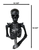 De Mortuis Hallow Impaled Grinning Bone Skeleton Wall Candleholder Sculpture 18"