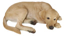 Large Realistic Sleeping Yellow Labrador Retriever Statue 21"H Golden Retriever