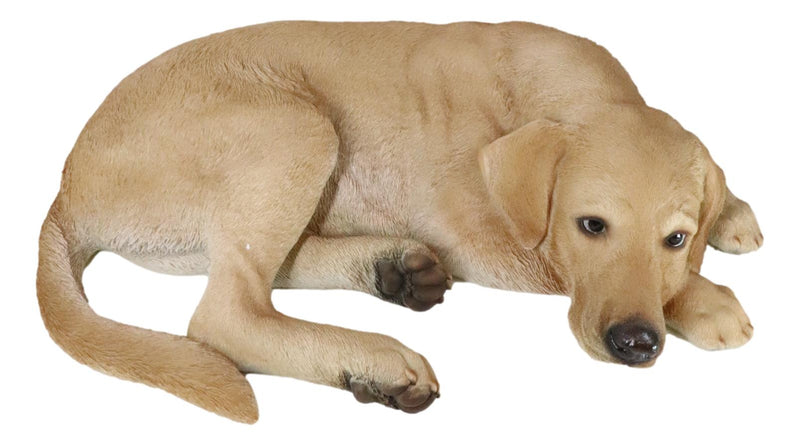 Large Realistic Sleeping Yellow Labrador Retriever Statue 21"H Golden Retriever