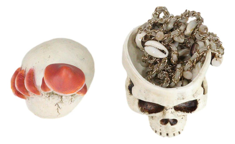 Wicca Gothic Toadstool Mushrooms And Fungi Skull Decorative Trinket Box Figurine
