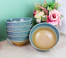 Pack Of 5 Blue River Ao Nagashi Medium Soup Salad Rice Donburi Poke Bowls 24oz