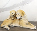 Realistic Adorable Labrador Puppy Dog Cuddling with Its Mother Family Figurine