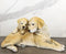 Realistic Adorable Labrador Puppy Dog Cuddling with Its Mother Family Figurine