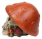 Brown Macabre Toadstool Mushroom Cap Skull With Mini Fungi Figurine 5" L