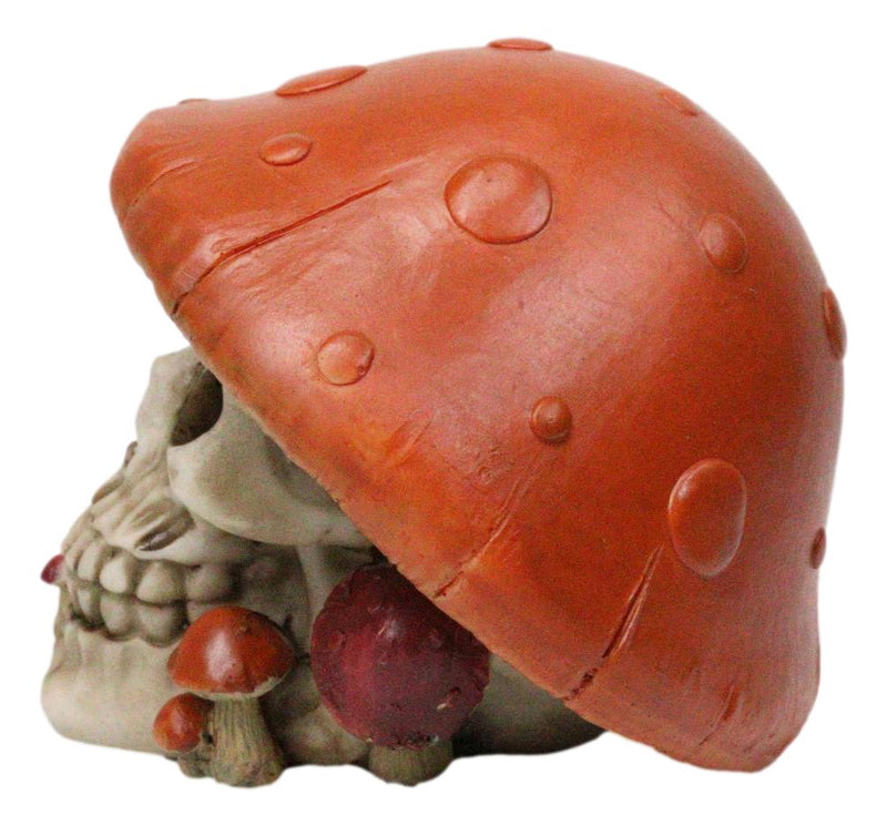 Brown Macabre Toadstool Mushroom Cap Skull With Mini Fungi Figurine 5" L