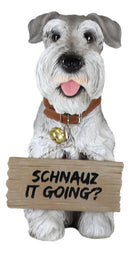 Adorable Grey Schnauzer Dog Sitting With Jingle Collar Greetings Sign Statue