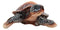 Nautical Ocean Brown Hues Giant Sea Turtle Swimming Decorative Figurine Tortoise