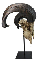 Large Alien Mutated Quad Horns Ram Skull Head Sculpture On Museum Stand 16.25"H