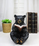 Rustic Forest Western Bookworm Black Bear with Glasses Reading Book Figurine