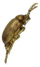 Modern Chic Gold Leaf Carpet Beetle Resin Wall Sculpture Or Table Decor