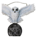 Snowy White Owl Pentagram Medallion Gothic Owl Wall Hanging Plaque 10"Long