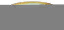 Green Midori Kannyu Collection Ceramic Oblong Shape 16" Long Serving Platter