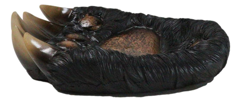 Rustic Western Long Claws Bear Paw Jewelry Trinket Keys Tray Dish Plate Figurine