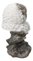 Whimsical White Snow Night Owl Perching On Tree Branch Figurine Decor