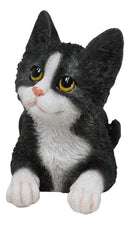 Lifelike Sitting Tuxedo Black and White Feline Kitten Cat Pet Pal Figurine