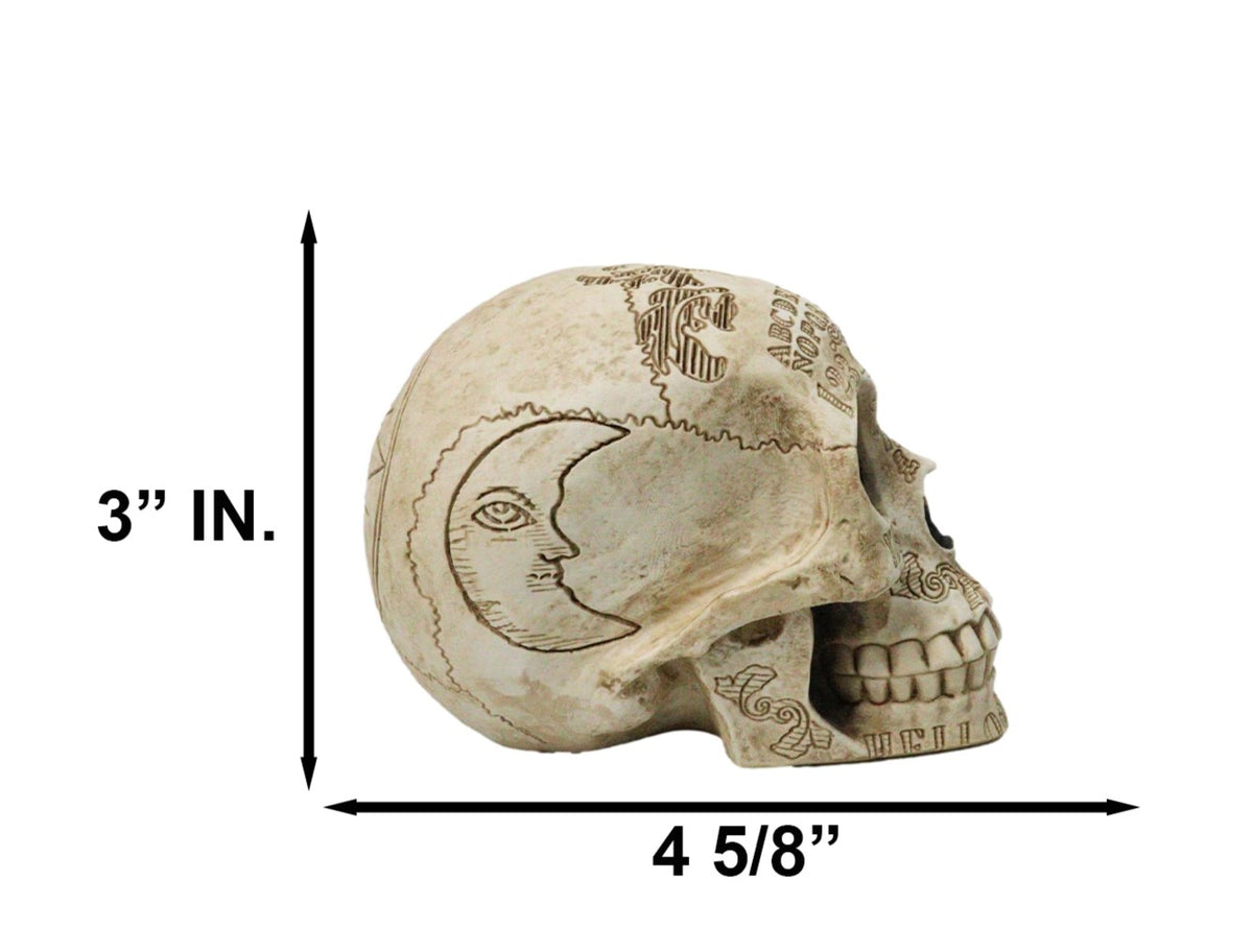 Ebros Paranormal Ouija Board Engraved Skull Figurine Gothic Resin Sculpture