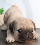 Realistic Lifelike Adorable Fawn Pug Puppy Dog Crouching Playfully Figurine