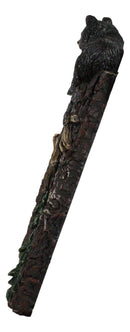Set of 2 Rustic Forest Black Bears Climbing Tree Double Receptacle Outlet Covers
