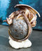 Dream Weaver Fantasy Wyrmling Dragon Sleeping On Cratered Lunar Moon Figurine