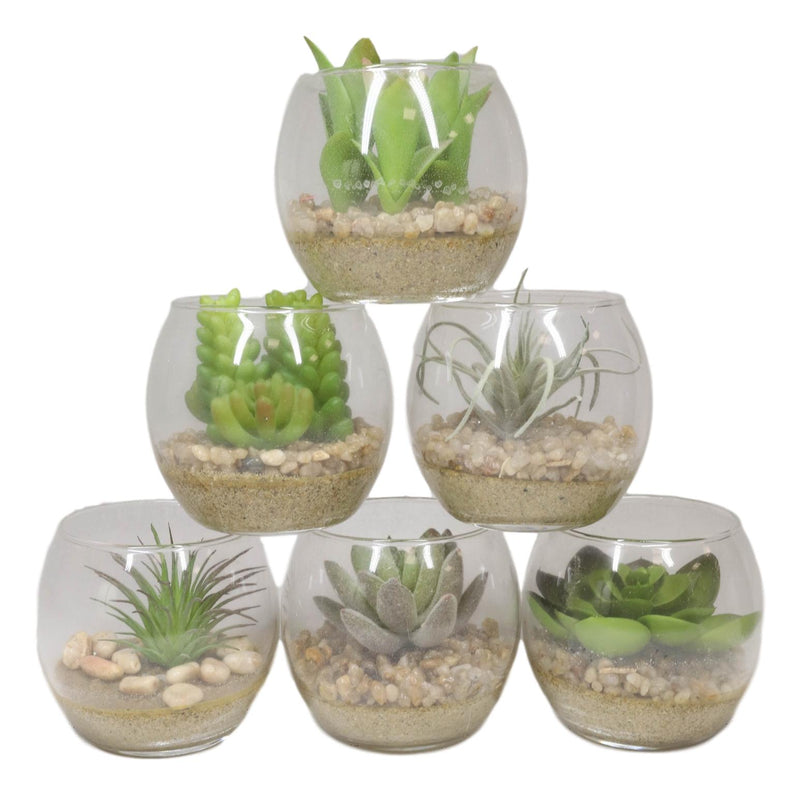 Set Of 6 Realistic Artificial Botanica Succulents Plants In Round Glass Pots