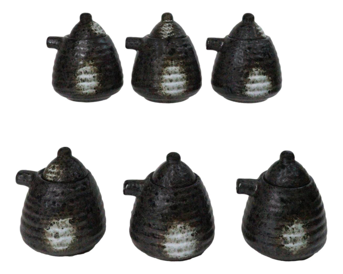 Set Of 6 Charcoal Grey Hakumu Tenmoku Porcelain Soy Sauce Shoyu Flask Dispensers