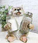 Full Moon Spice Lover Gray Wolf Pup Salt and Pepper Shakers Holder Figurine