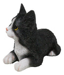 Lifelike Sitting Tuxedo Black and White Feline Kitten Cat Pet Pal Figurine