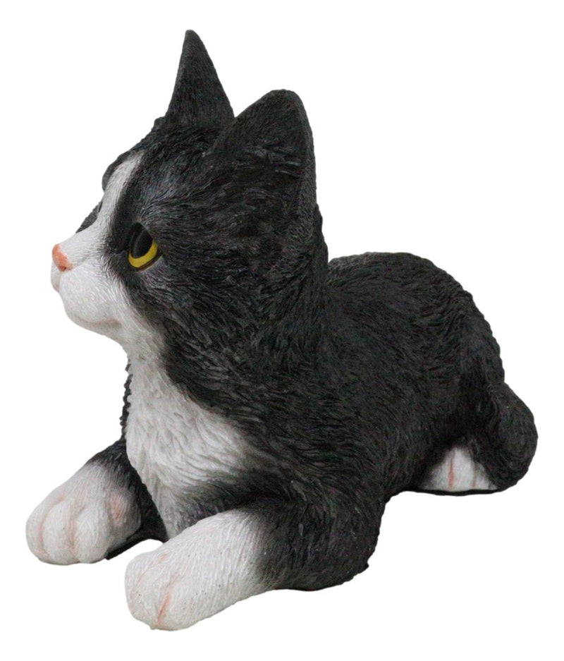 Lifelike Sitting Tuxedo Black and White Feline Kitten Cat Pet Pal Figurine