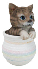 Lifelike Feline Kitty Brown Tabby Cat Blue Eyes In Pastel Artsy Pot Figurine