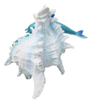 Nautical Marine Sea Blue Dolphins Swimming By Ocean Seashell Conch Figurine