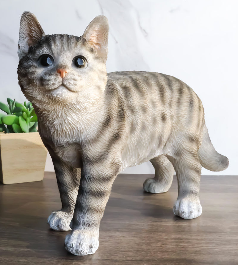 Standing Feline Gray Tabby Cat Kitten Figurine With Realistic Glass Ey–  Ebros Gift