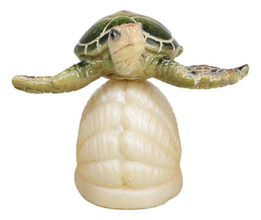Ocean Marine Green Giant Sea Turtle Swimming Over LED Light Clam Shell Figurine
