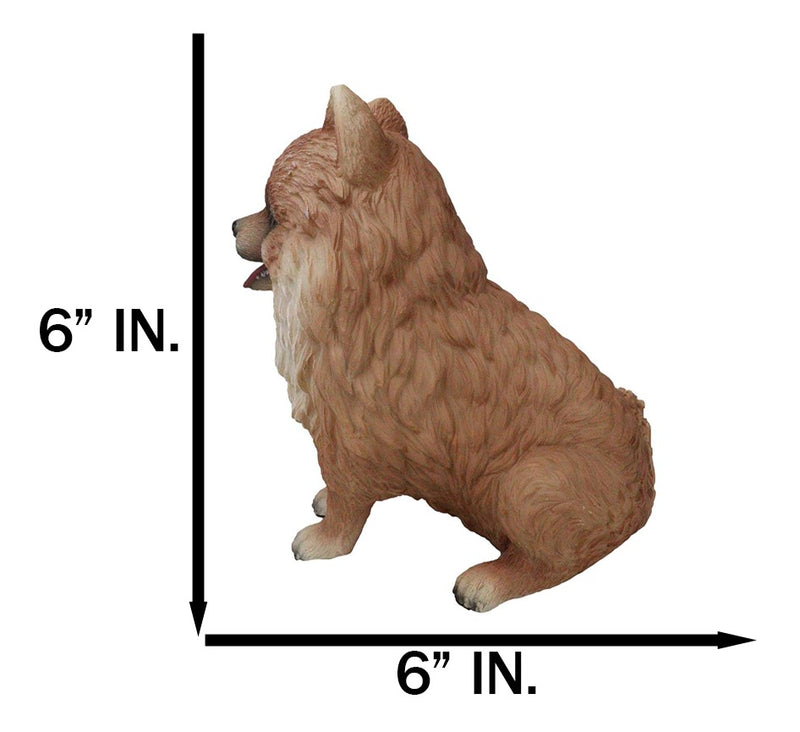 Lifelike Adorable Pet Pal Sitting Pomeranian Spitz Puppy Dog Figurine 6"H