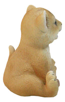 Adorable Prince of The Safari Jungle Forest African Lion Cub Figurine 4" Long