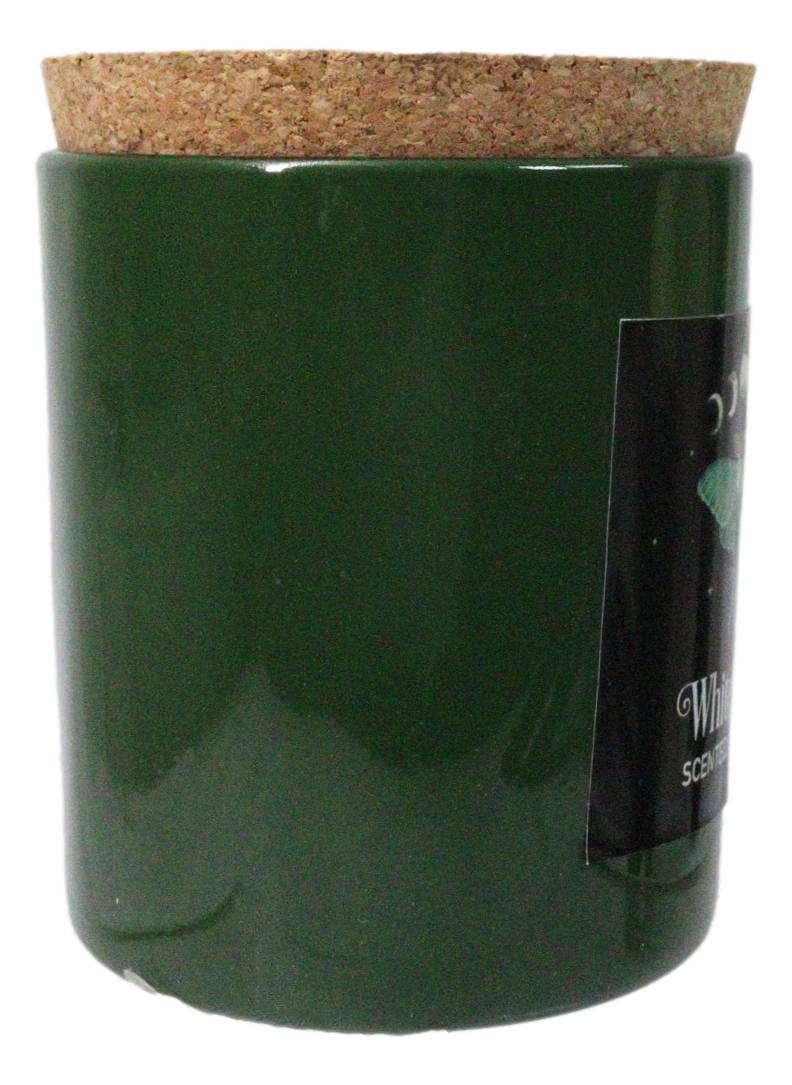 Wicca Dark Forest White Sage Luna Moth Scented Candle With Cork Lid
