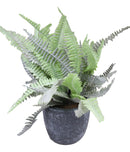 Set of 3 Realistic Artificial Botanica Greenery Ferns in Faux Cement Pots 12"H