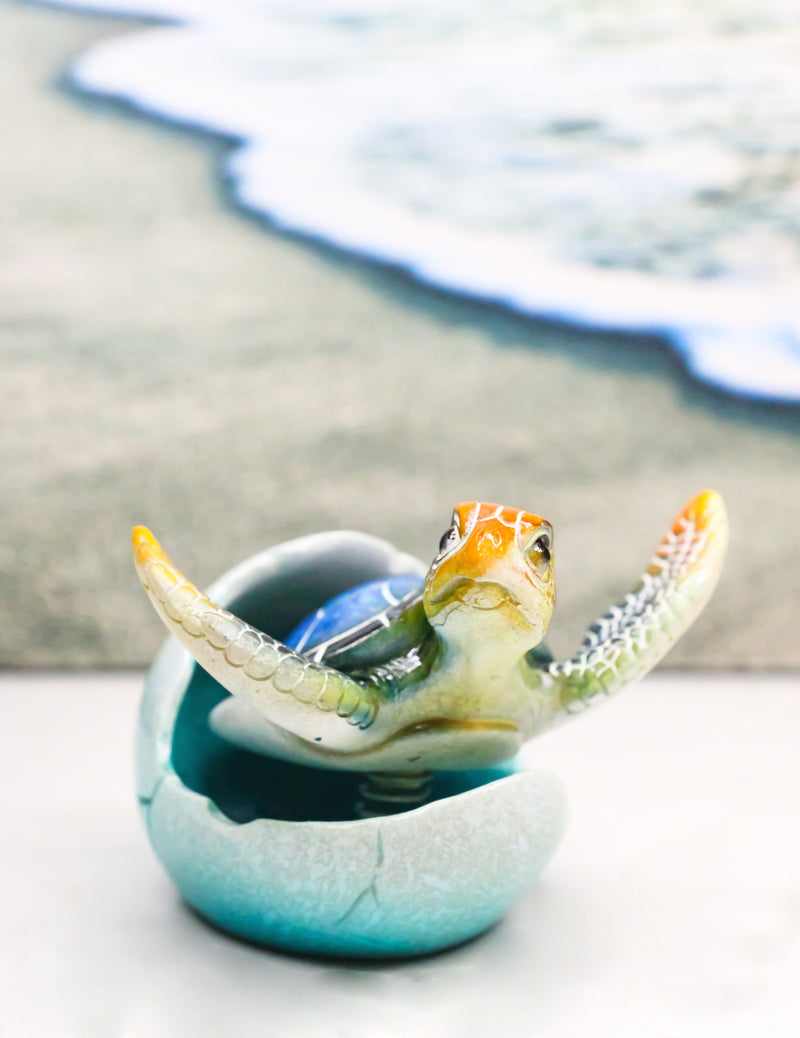 Blue Nautical Marine Sea Turtle Hatchling Emerging Out of Egg Mini Figurine