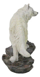Woodlands Winter Hunter Tundra Snow White Albino Wolf On The Prowl Figurine