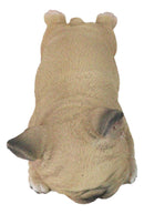 Realistic Adorable French Bulldog Frenchie Dog Puppy Sleeping Figurine 7.25"L