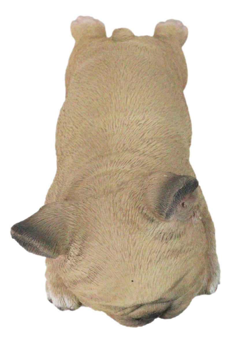 Realistic Adorable French Bulldog Frenchie Dog Puppy Sleeping Figurine 7.25"L