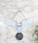 Snowy White Owl Pentagram Medallion Gothic Owl Wall Hanging Plaque 10"Long
