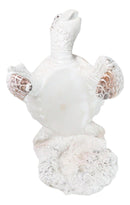 Nautical Marine Distressed Antique White Sea Turtle Wine Bottle Holder Figurine