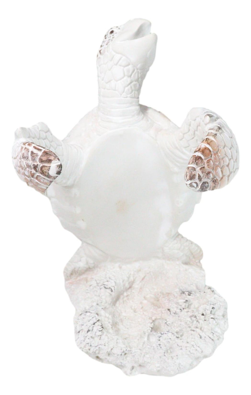 Nautical Marine Distressed Antique White Sea Turtle Wine Bottle Holder Figurine