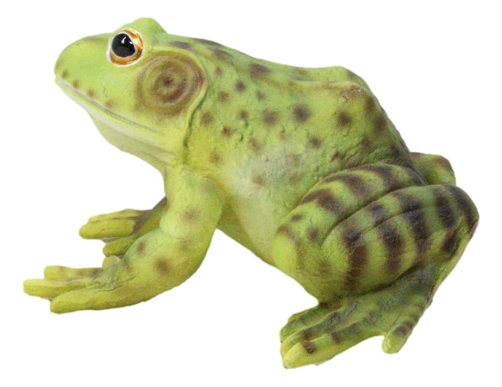 Amphibian Wild Creatures Realistic Green Frog Decorative Figurine