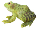 Amphibian Wild Creatures Realistic Green Frog Decorative Figurine