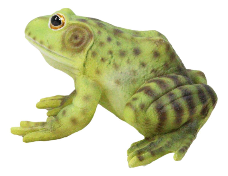 Amphibian Wild Creatures Realistic Green Frog Decorative Figurine