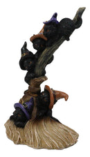Halloween 5 Black Kitten Cats with Witch Hats Perching On Broomstick Figurine