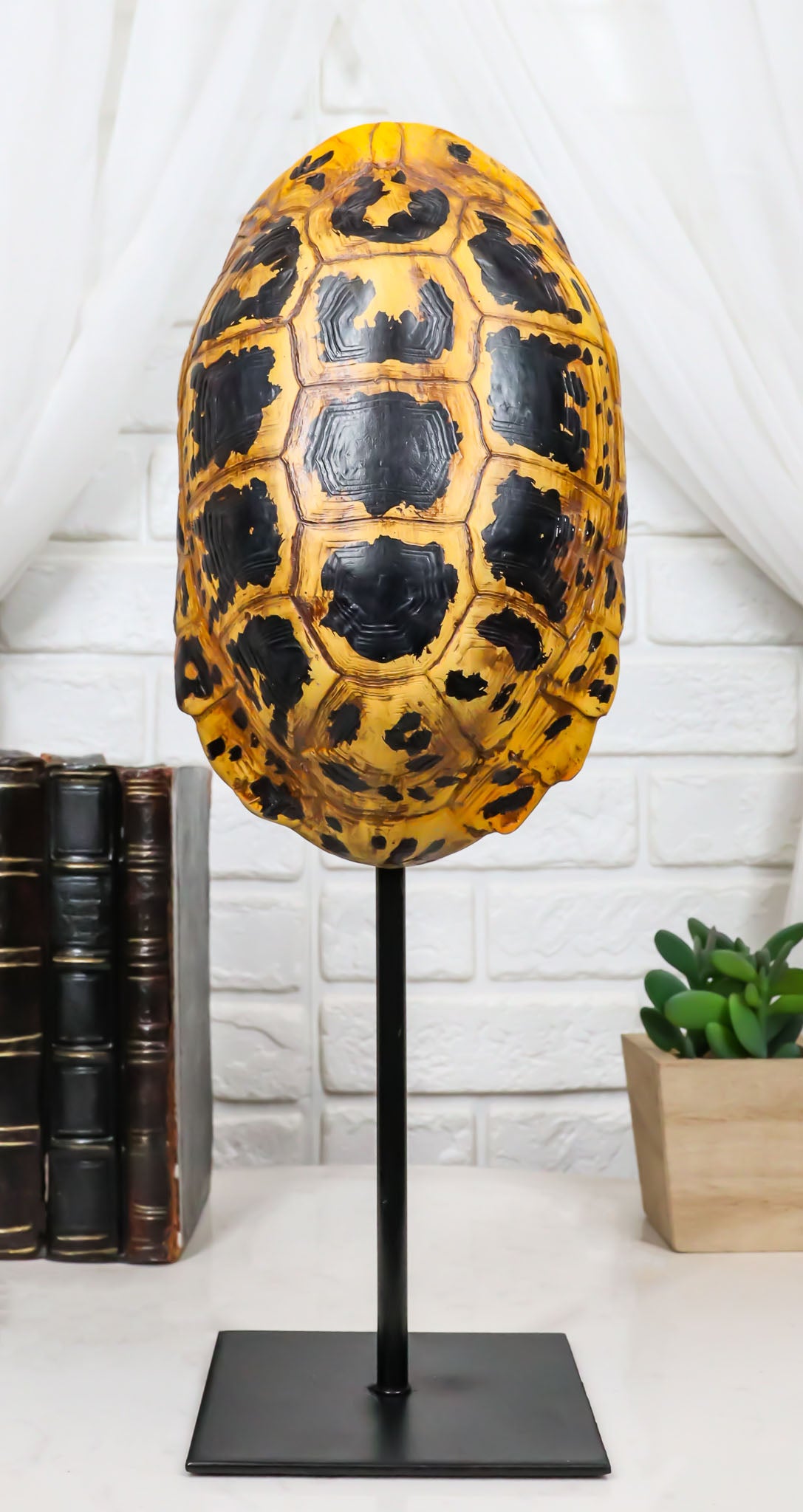 Nautical Reptile Yellow Elongated Tortoise Shell Sculpture On Museum Art Stand