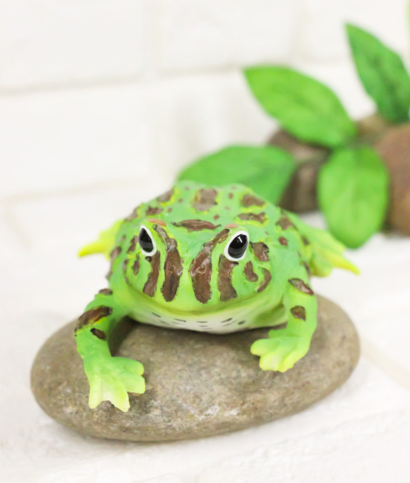 Realistic Lithobates Clamitans Amphibian Green Frog Decorative Figurine