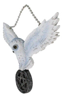 Snowy White Owl Pentagram Medallion Gothic Owl Wall Hanging Plaque 10"Long